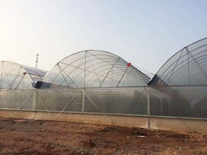 單棟薄膜溫室
