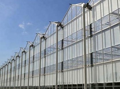 連體陽光板溫室