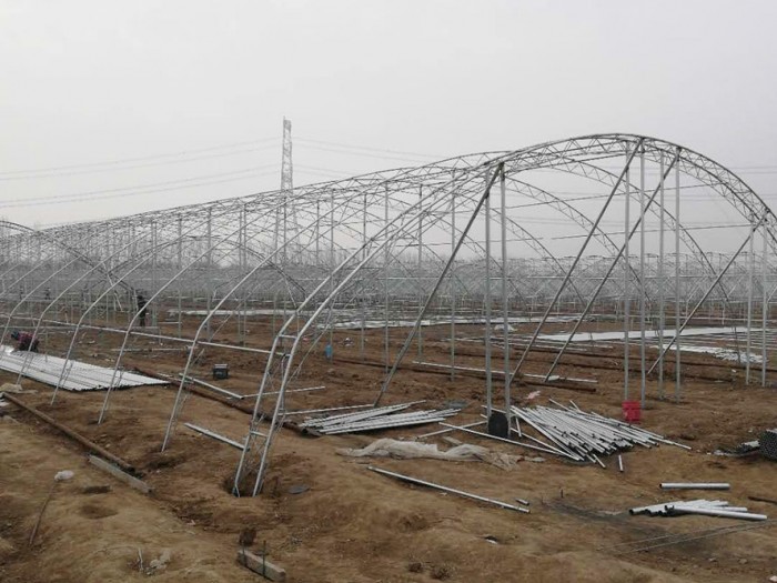 幾字鋼日光溫室