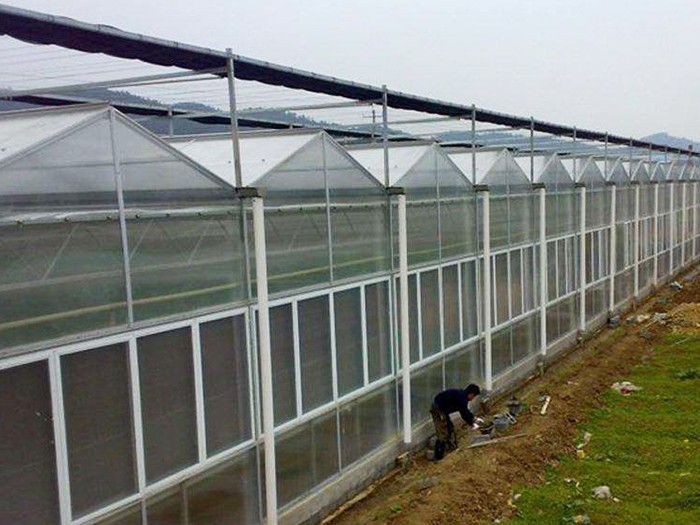 紋絡(luò)陽(yáng)光板溫室